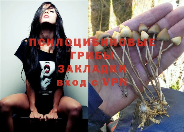 мяу мяу мука Магас